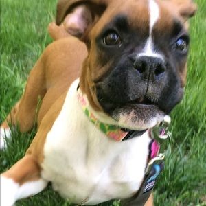 Meet your Posher, Kara